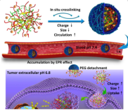 Theranostics graphic